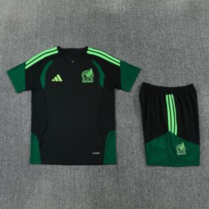 Conjunto Entrenamiento Mexico temporada 26/27